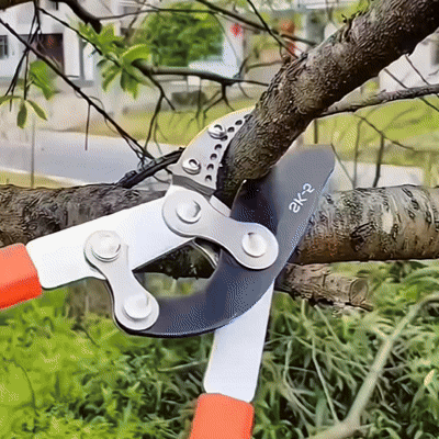 Tesoura de Poda Profissional de Cabo Longo