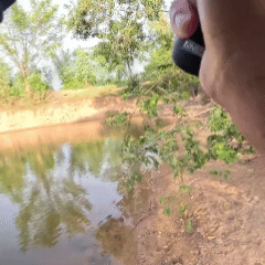 Isca Artificial Soft Korora Para Robalo