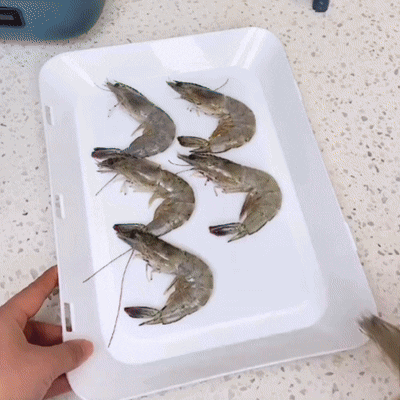 Bandeja Hermética para Conservação de Alimentos